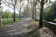 Img 156